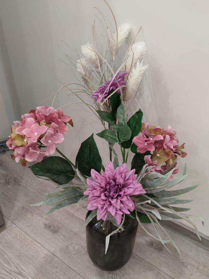 Flowers Apartment Добрич Екстериор снимка